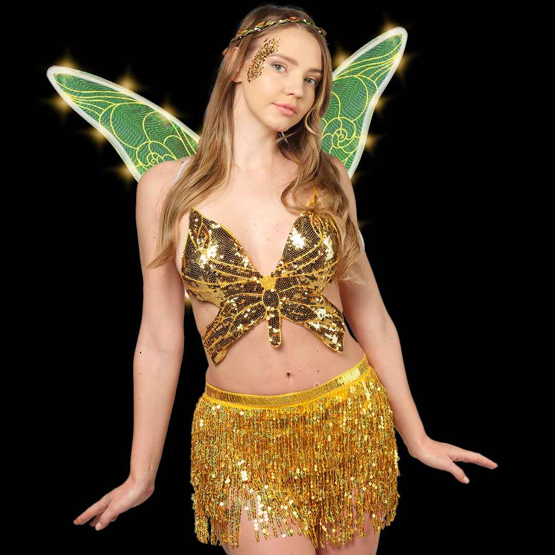 fairy costume for women fairy wings and glitter tooth fairy wing halloween costume