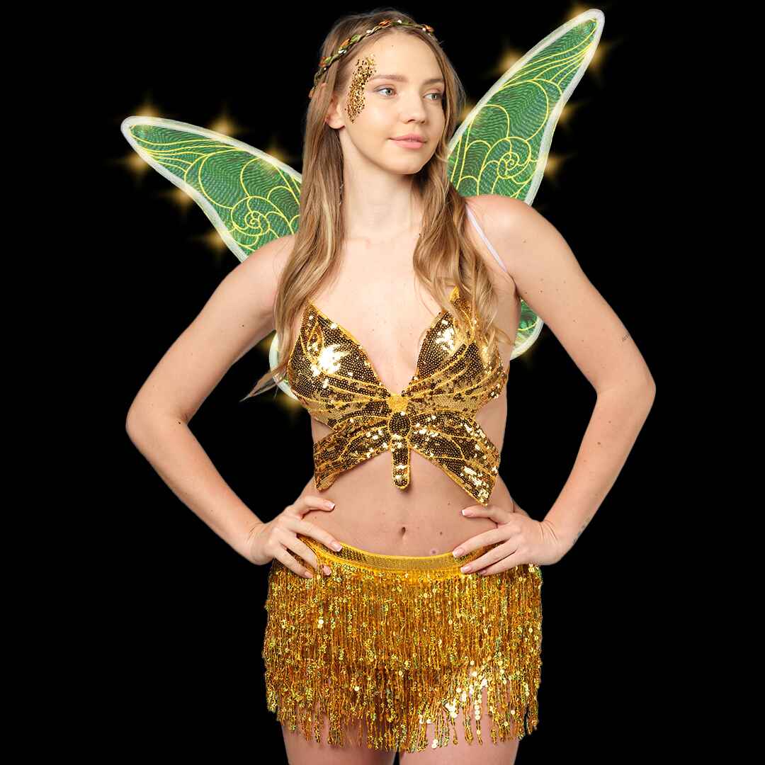 adult fairy costume, wings costume, tinkerbell costume adult, tinkerbell wings, adult