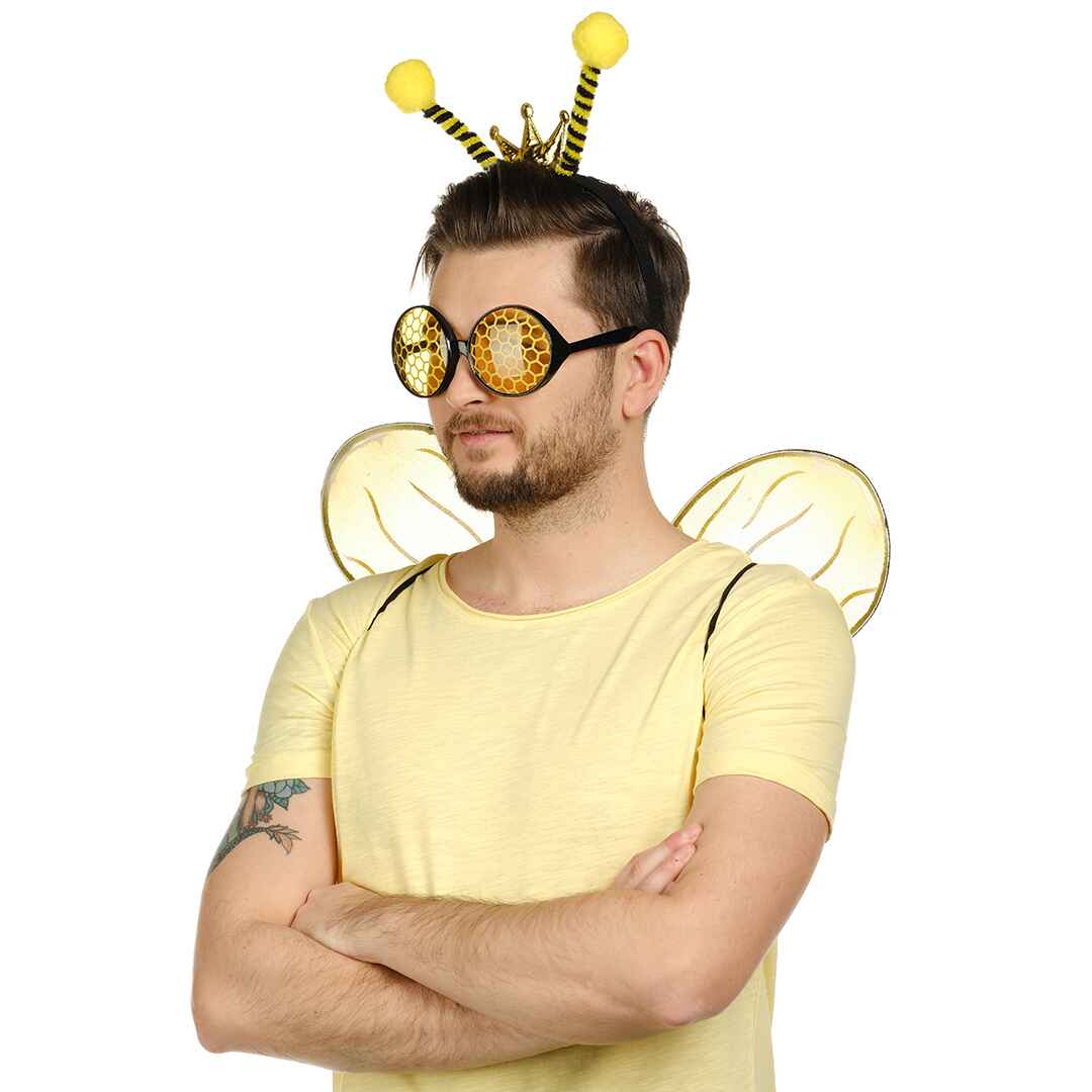 Bee Costume Accessories for Women - Bee Wings, Antenna and Glasses