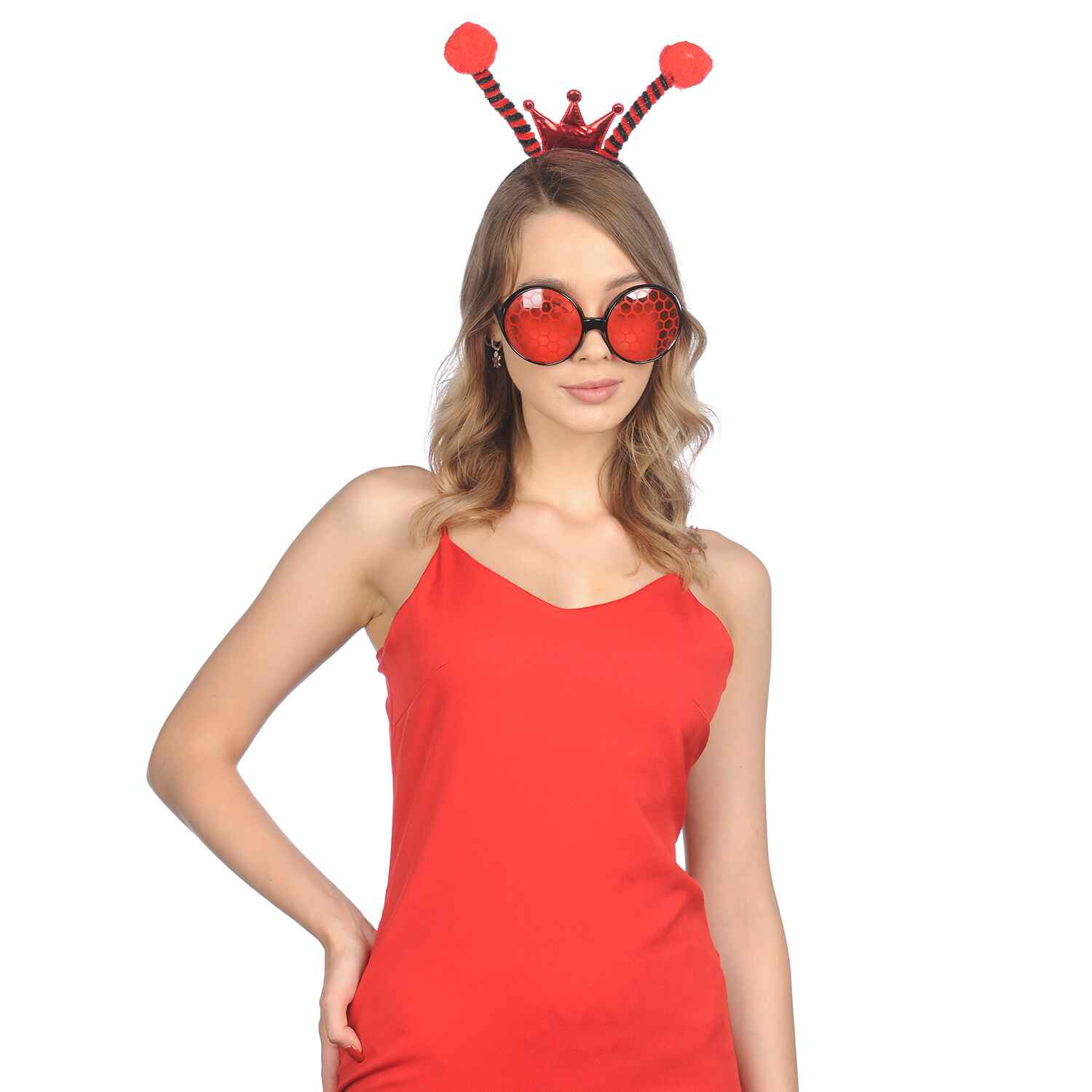 Ladybug Wings and Ladybug Headband with Glasses