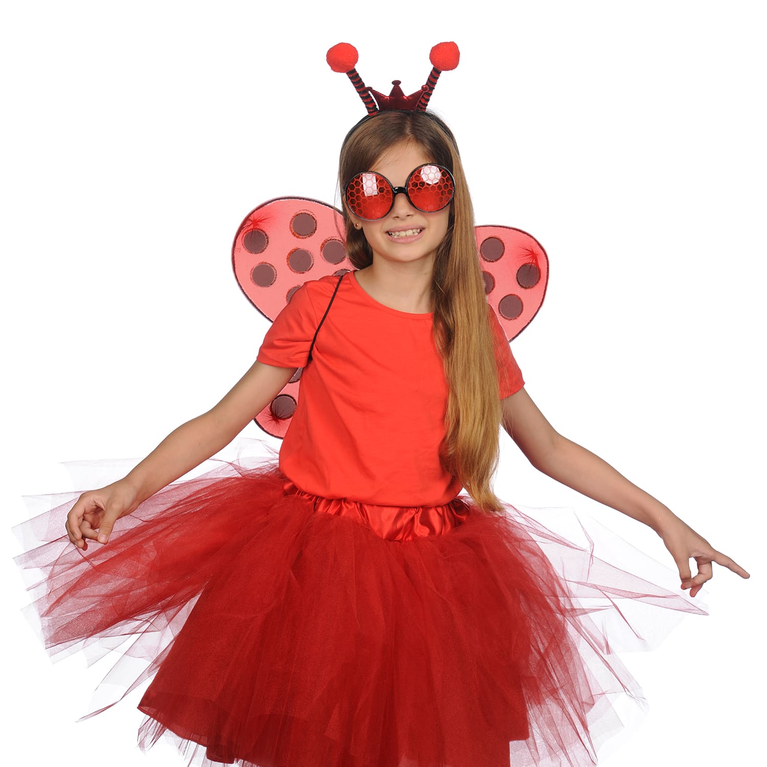 ladybug costume accessories